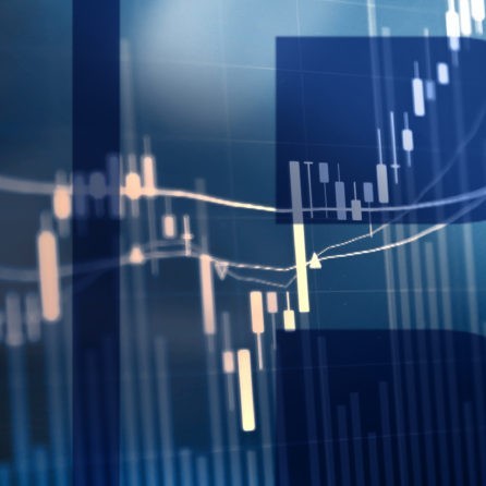 Erredue News CapitaleSociale